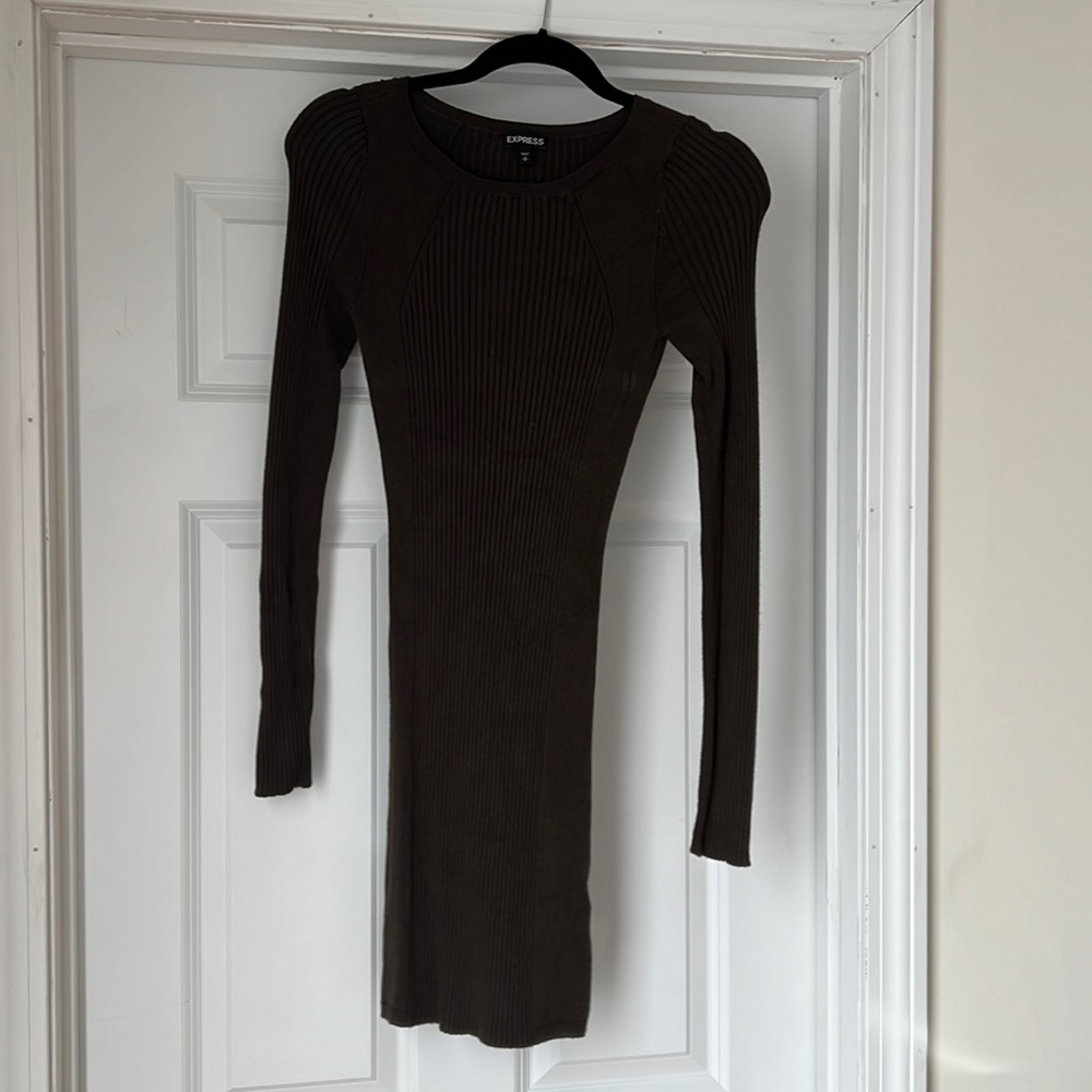 Express Sweater dress